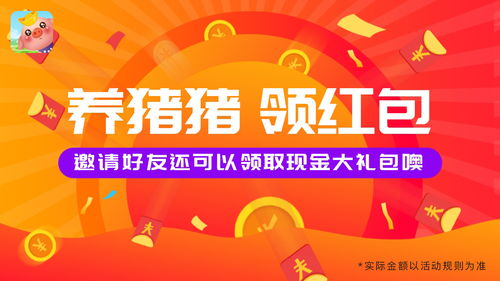 信息流廣告設(shè)計